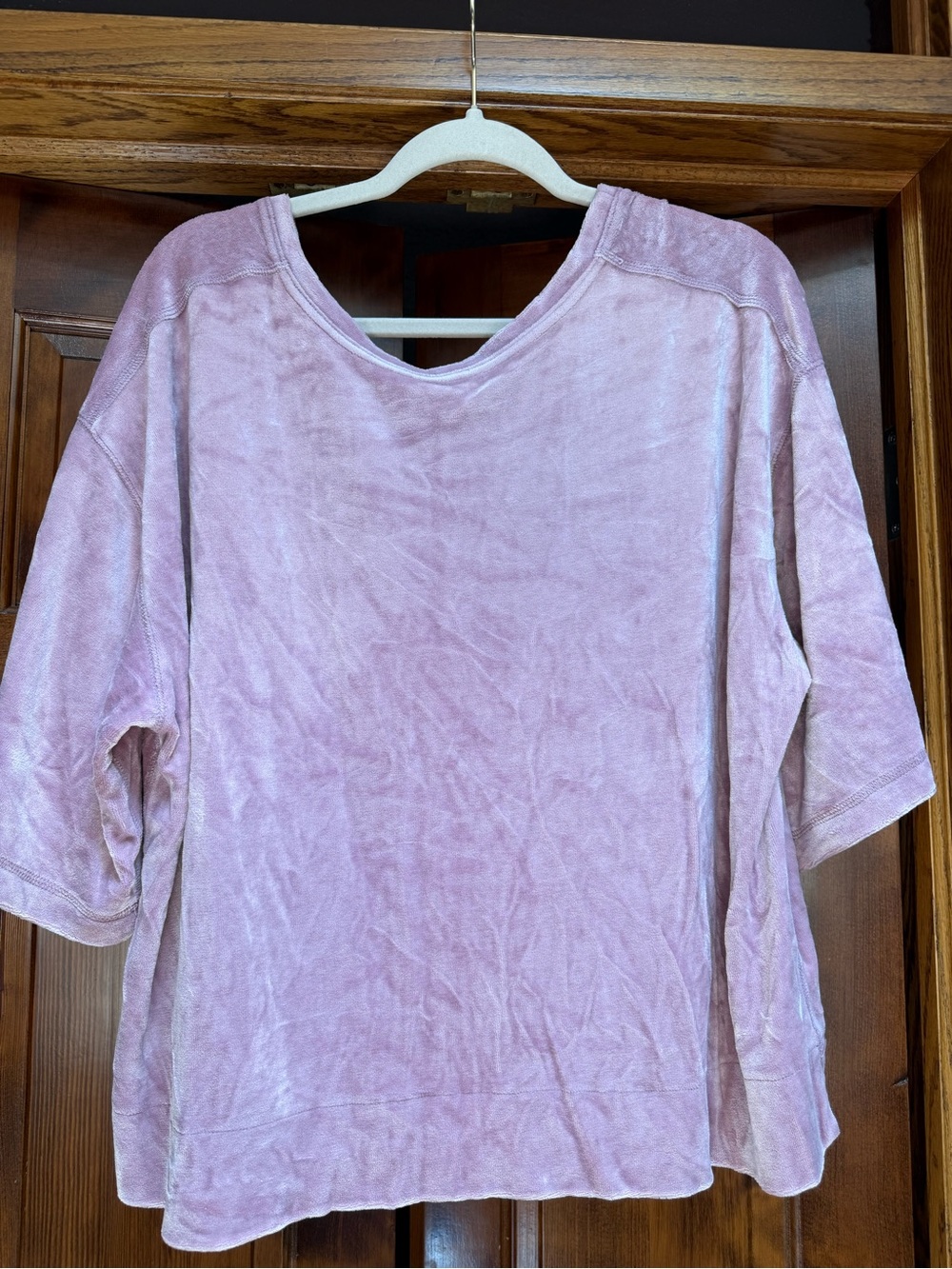 Free People We The Free Mauve Valerie Velour Short Sleeve Top, Size Medium